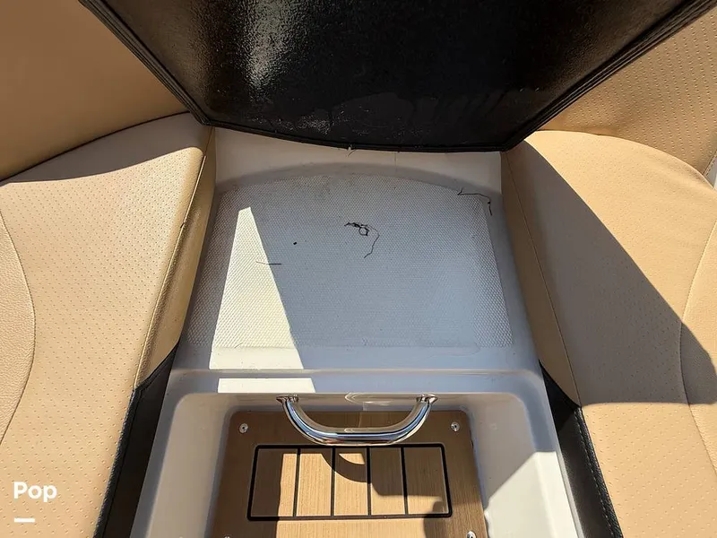 Slide: The Image of Sea Ray SPX190 OB 2021 - 15874699