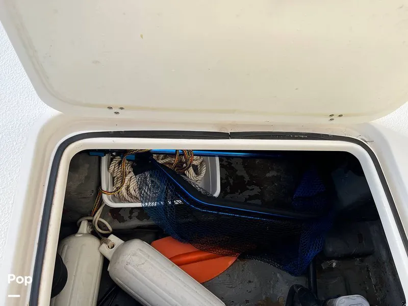 Slide: The Image of Tiburon ZX-22 2019 - 16085384