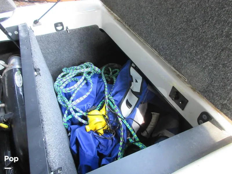 Slide: The Image of Sanger V215 2012 - 15914880