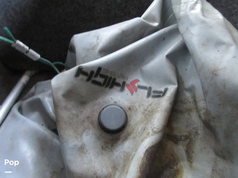 Slide: The Image of Sanger V215 2012 - 15914881