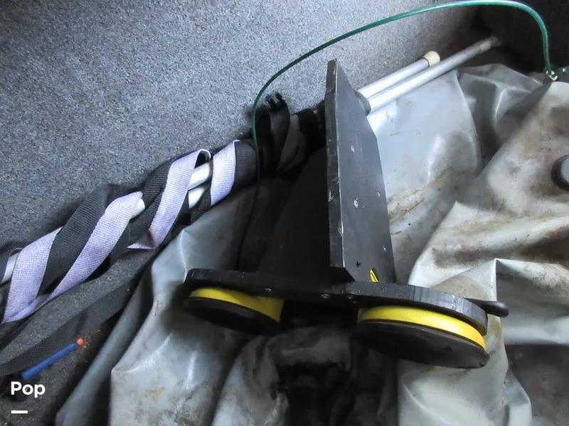 Slide: The Image of Sanger V215 2012 - 15914882