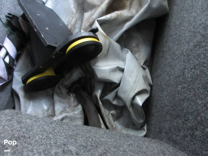 Slide: The Image of Sanger V215 2012 - 15914883