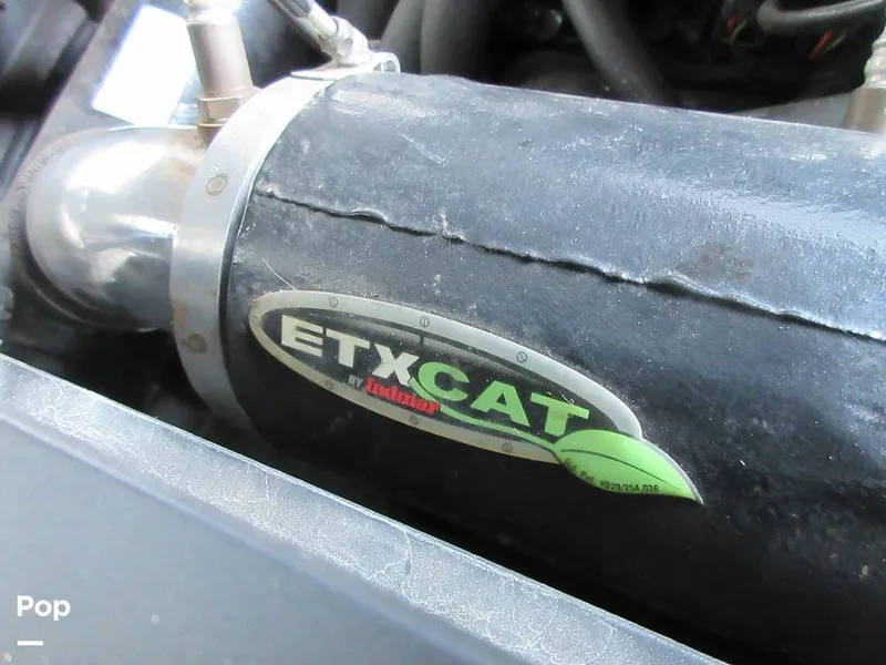 Slide: The Image of Sanger V215 2012 - 15914885