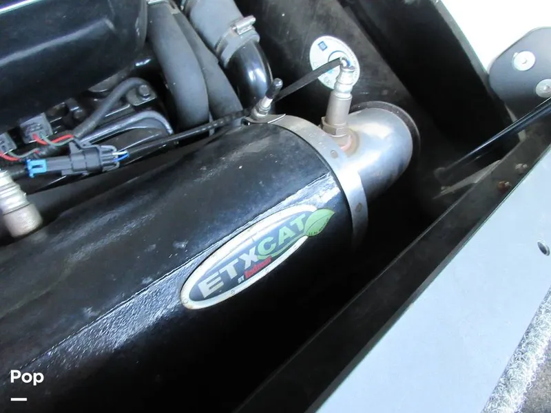 Slide: The Image of Sanger V215 2012 - 15914886