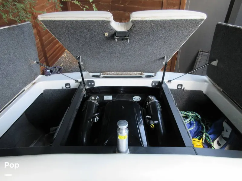 Slide: The Image of Sanger V215 2012 - 15914887