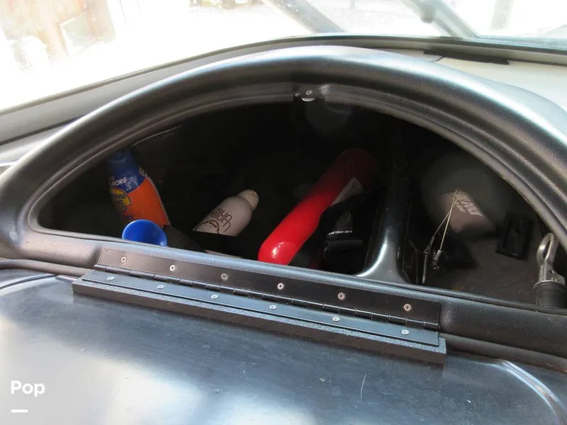 Slide: The Image of Sanger V215 2012 - 15914918