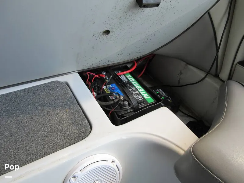 Slide: The Image of Sanger V215 2012 - 15914929