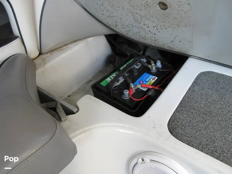 Slide: The Image of Sanger V215 2012 - 15914930