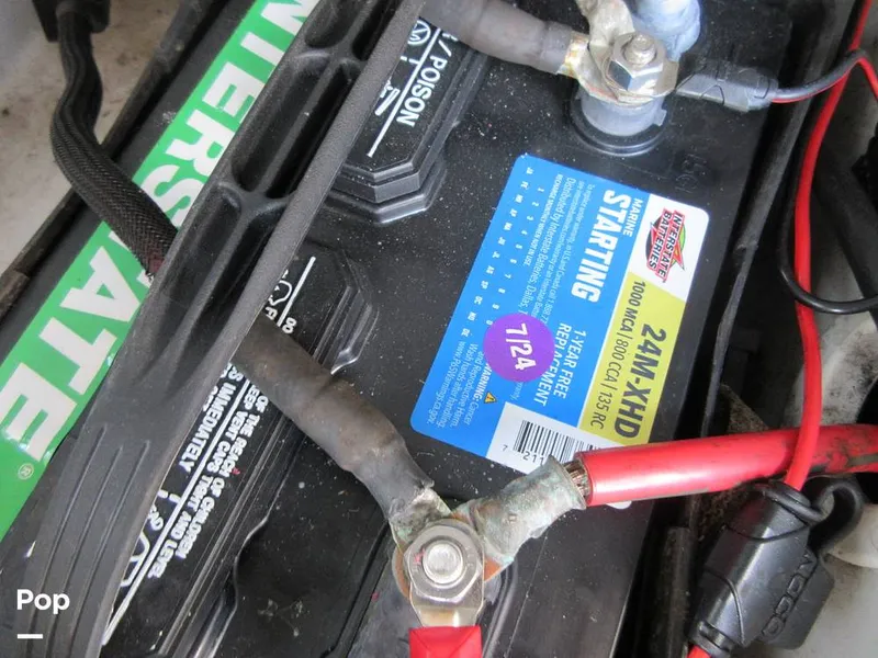 Slide: The Image of Sanger V215 2012 - 15914931