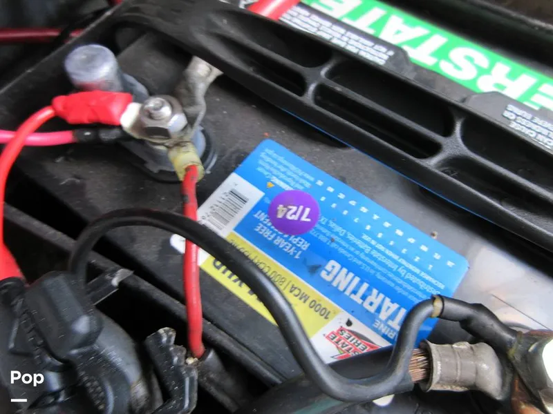 Slide: The Image of Sanger V215 2012 - 15914932