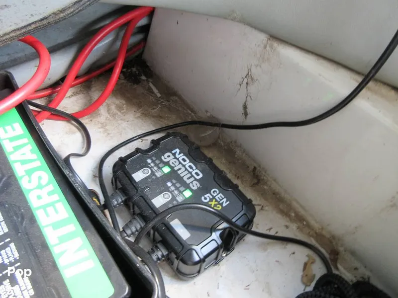 Slide: The Image of Sanger V215 2012 - 15914933