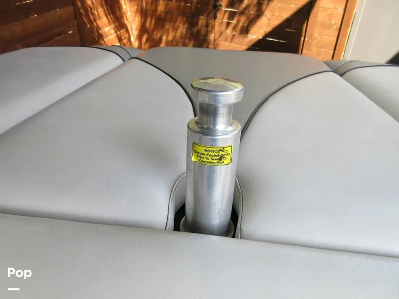 Slide: The Image of Sanger V215 2012 - 15914934