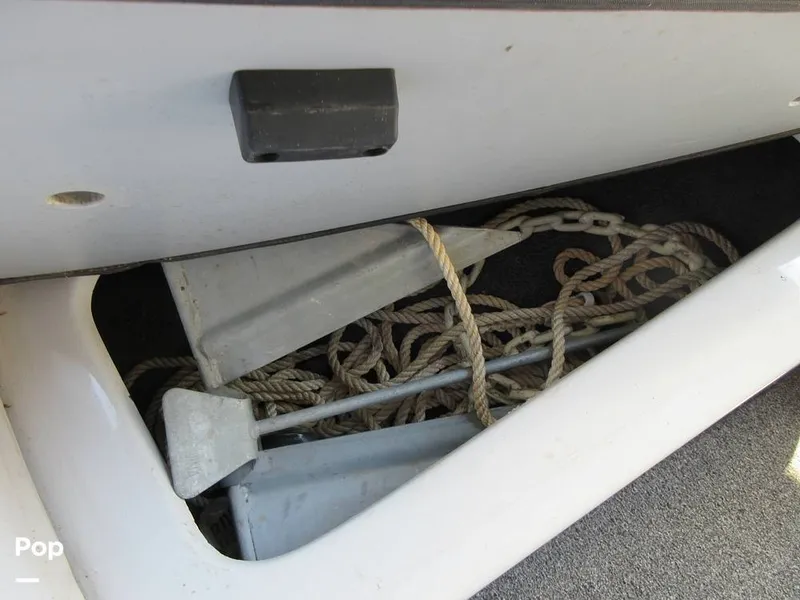 Slide: The Image of Sanger V215 2012 - 15914949