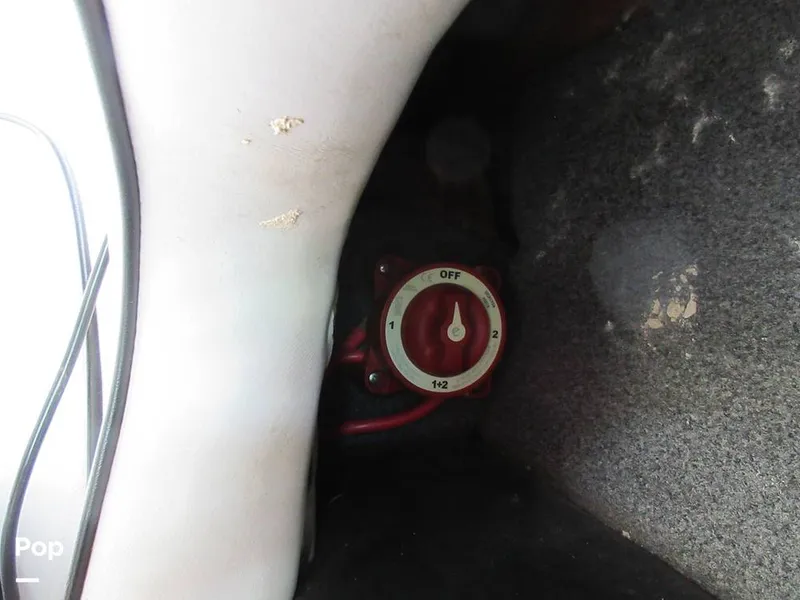 Slide: The Image of Sanger V215 2012 - 15914965