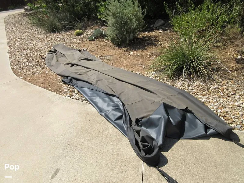 Slide: The Image of Sanger V215 2012 - 15914969