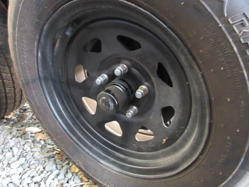 Slide: The Image of Sanger V215 2012 - 15914869