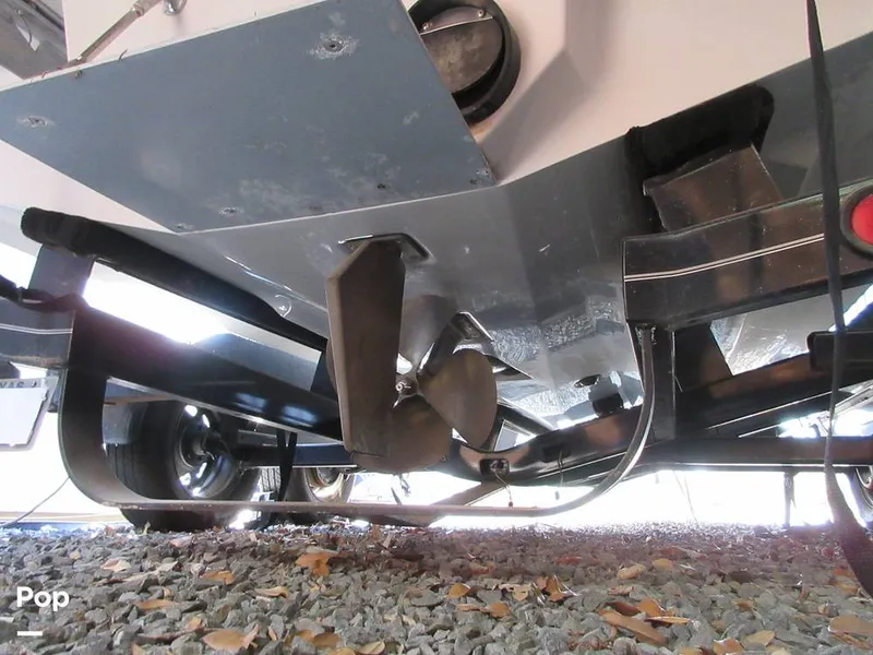 Slide: The Image of Sanger V215 2012 - 15914818