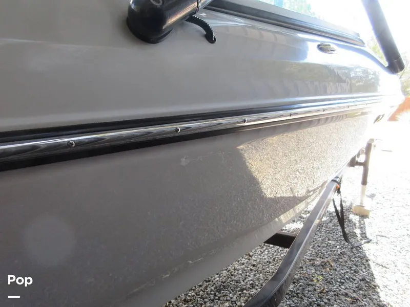 Slide: The Image of Sanger V215 2012 - 15914826