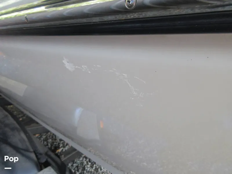 Slide: The Image of Sanger V215 2012 - 15914827