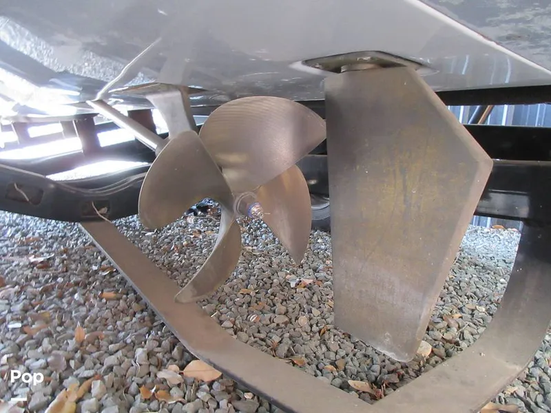 Slide: The Image of Sanger V215 2012 - 15914840