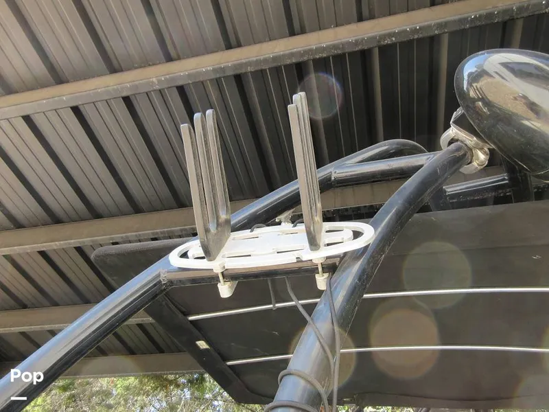 Slide: The Image of Sanger V215 2012 - 15914873