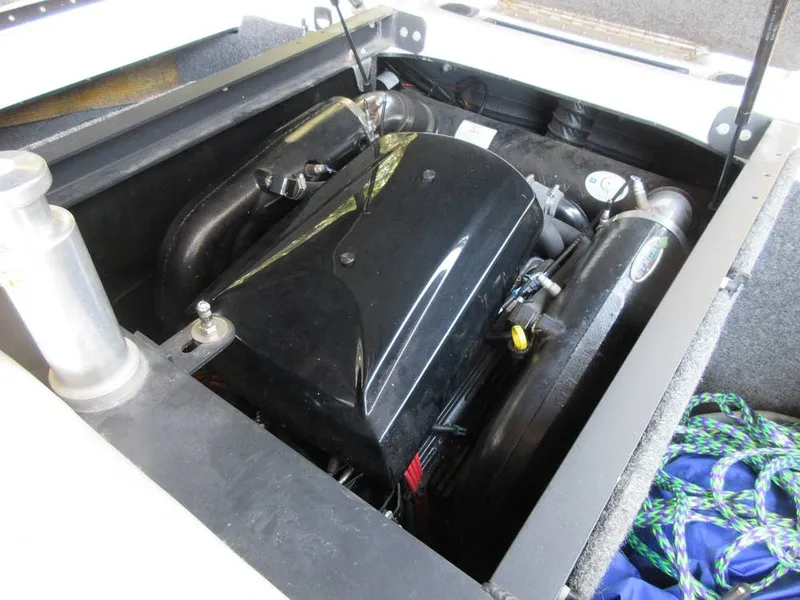 Slide: The Image of Sanger V215 2012 - 15914875