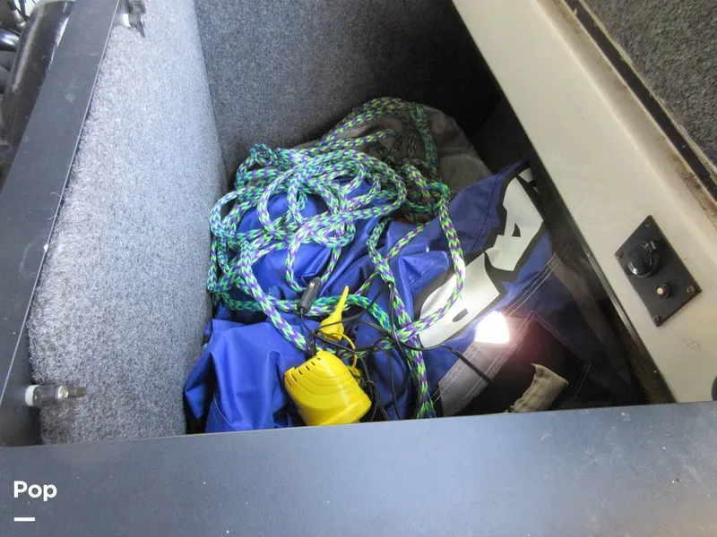 Slide: The Image of Sanger V215 2012 - 15914876