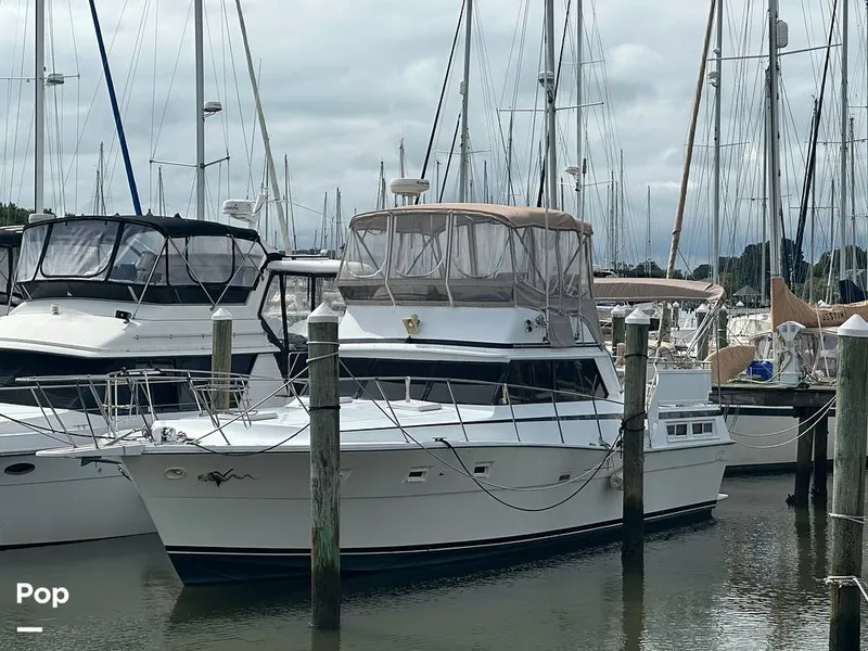 Slide: The Image of Viking Double Cabin 43 1977 - 15872077