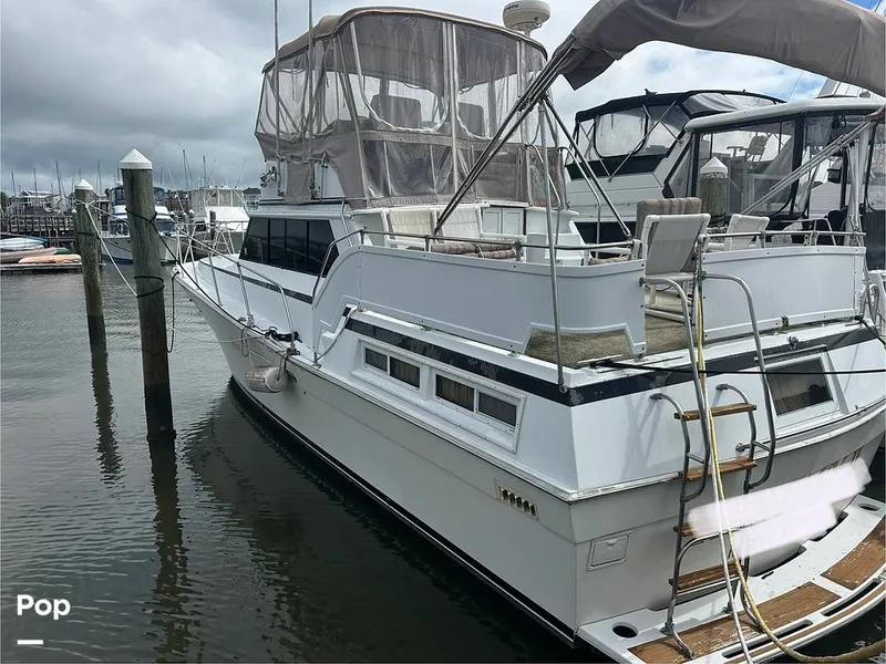 Slide: The Image of Viking Double Cabin 43 1977 - 15901944