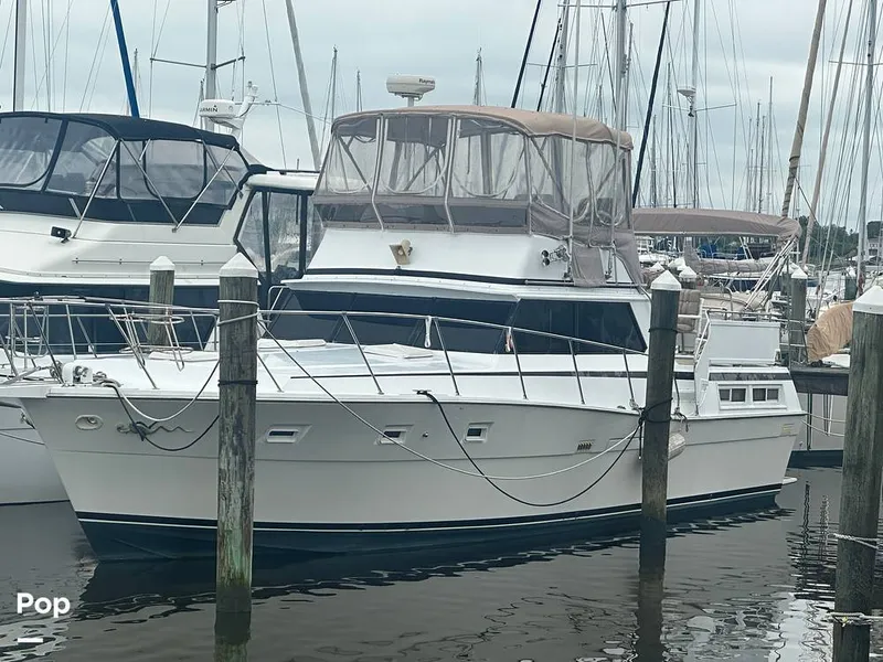 Slide: The Image of Viking Double Cabin 43 1977 - 15872116