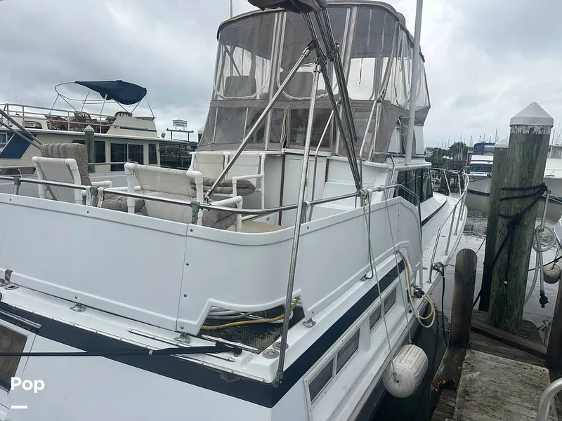 Slide: The Image of Viking Double Cabin 43 1977 - 15872119