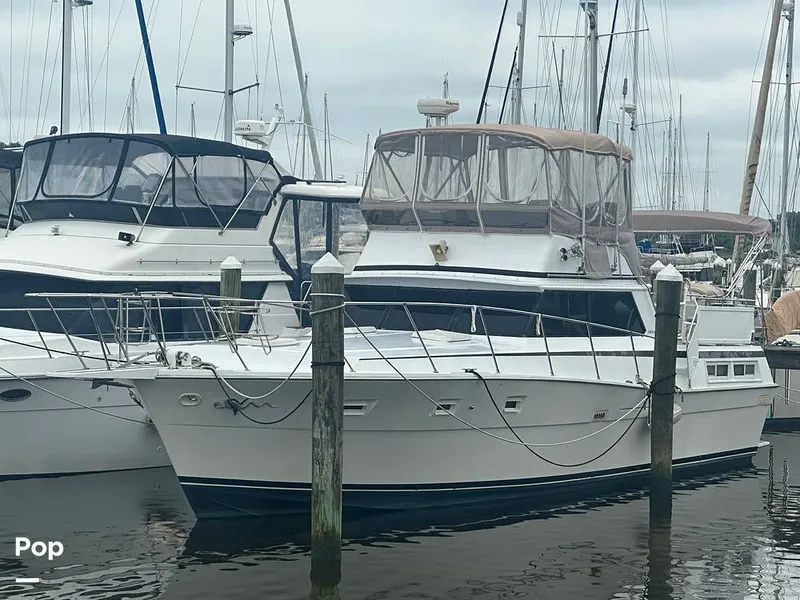 Slide: The Image of Viking Double Cabin 43 1977 - 15865857