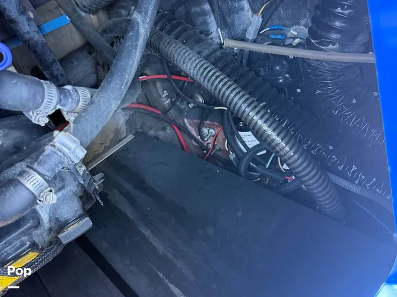 Slide: The Image of Moomba Makai 2019 - 15945987