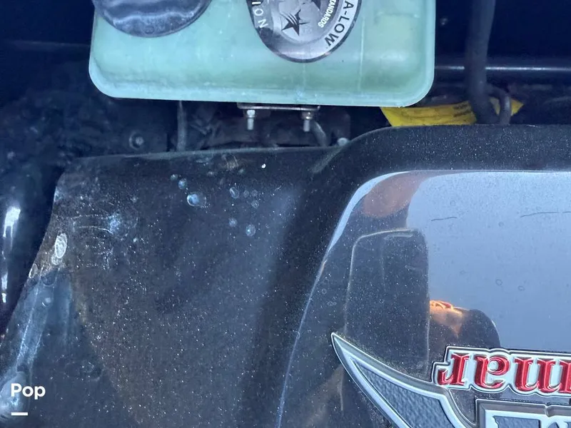 Slide: The Image of Moomba Makai 2019 - 15945989