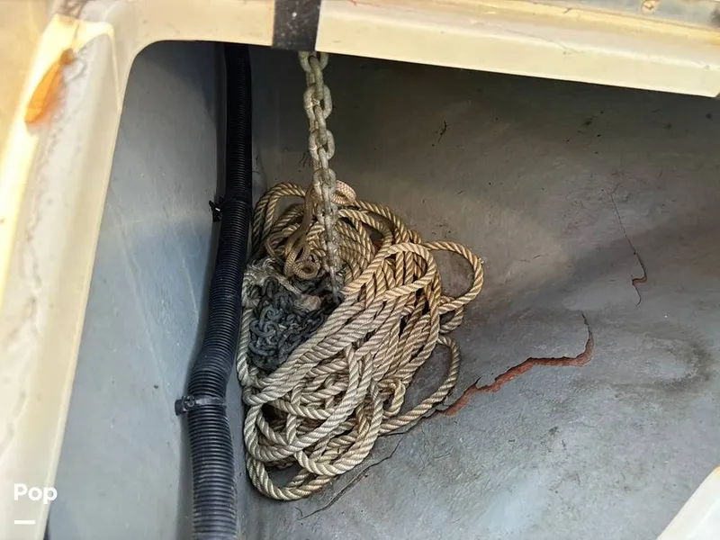 Slide: The Image of Sea Ray 260 Sundancer 2004 - 15901907