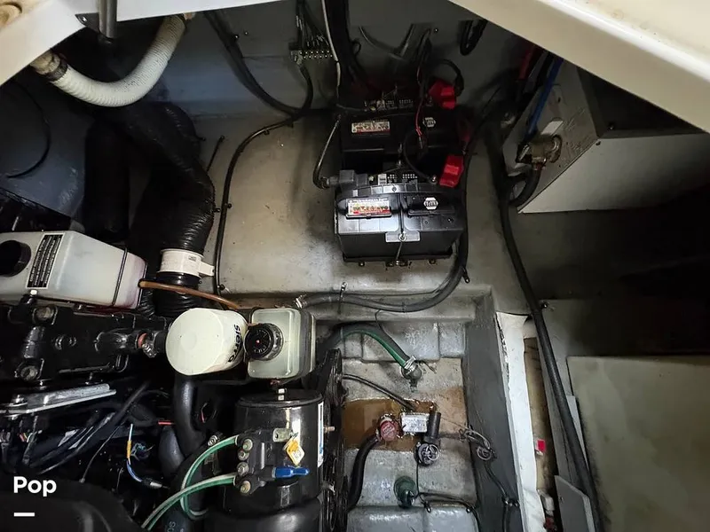 Slide: The Image of Sea Ray 260 Sundancer 2004 - 15901937