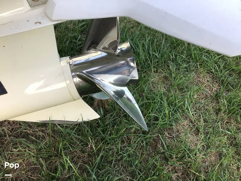 Slide: The Image of Carolina Fun Chaser DSF 20 2014 - 15954628