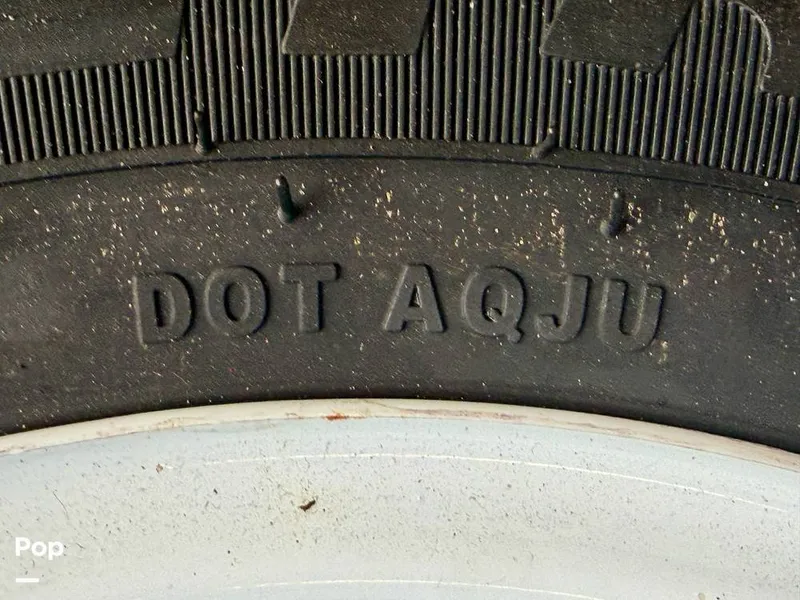 Slide: The Image of Scarab 165 ID 2022 - 16275632