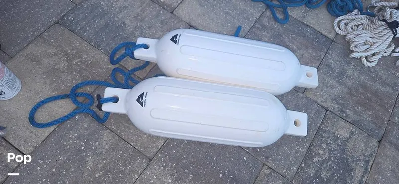 Slide: The Image of Scarab 165 ID 2022 - 16283421