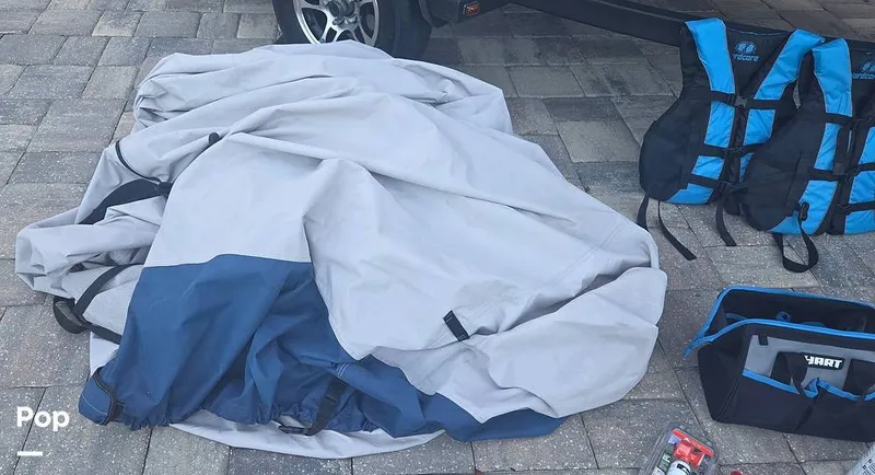 Slide: The Image of Scarab 165 ID 2022 - 16283425