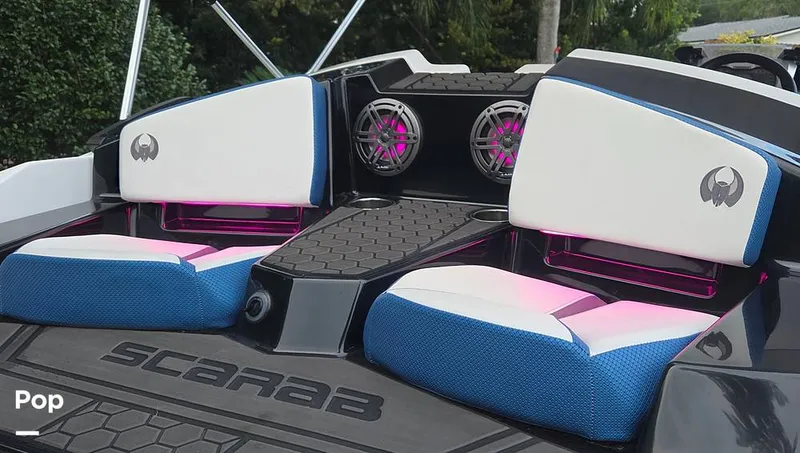 Slide: The Image of Scarab 165 id 2022 - 15916237