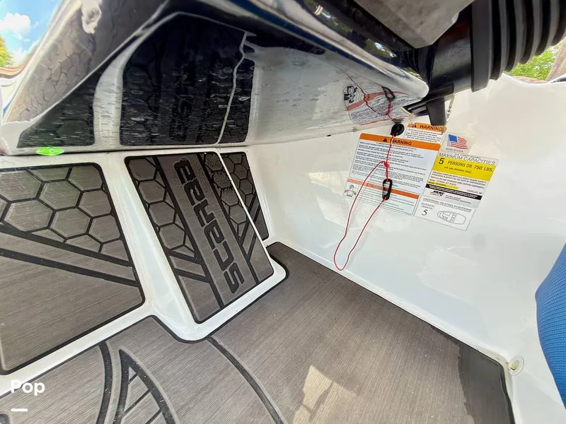 Slide: The Image of Scarab 165 ID 2022 - 16275558