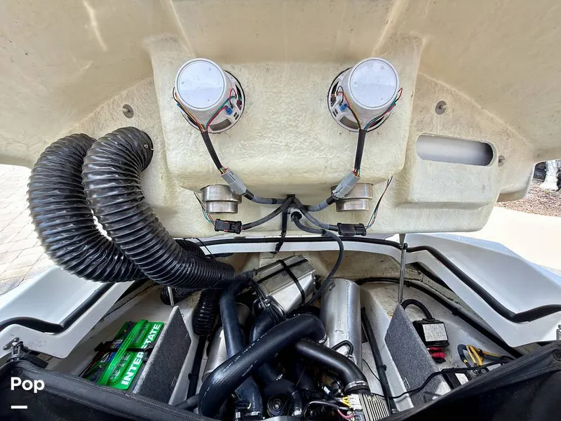 Slide: The Image of Scarab 165 ID 2022 - 16275574