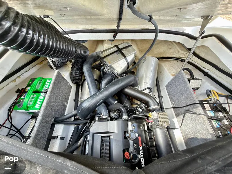 Slide: The Image of Scarab 165 ID 2022 - 16275575