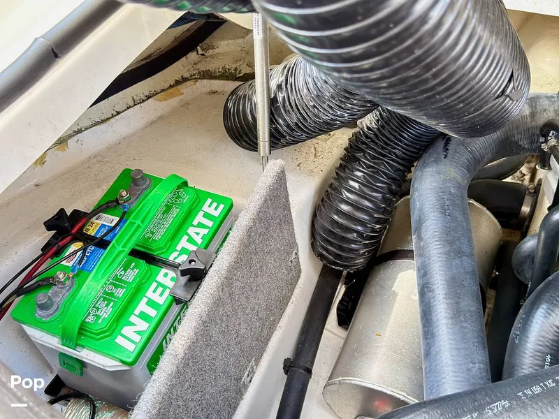 Slide: The Image of Scarab 165 ID 2022 - 16275576