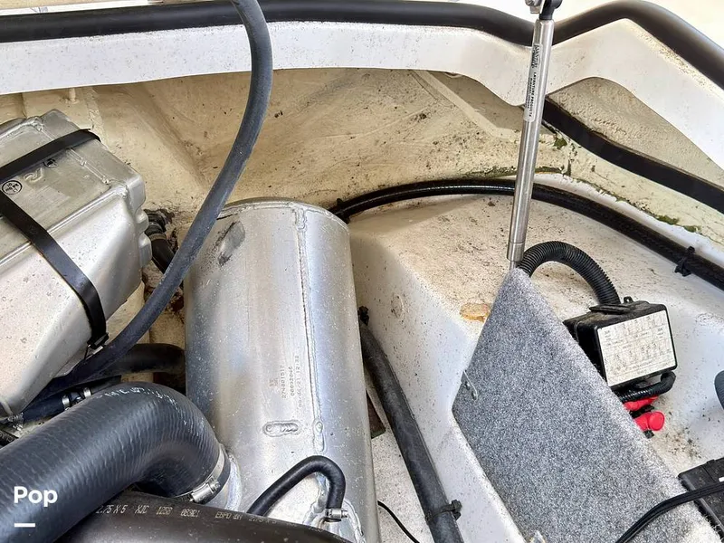 Slide: The Image of Scarab 165 ID 2022 - 16275578