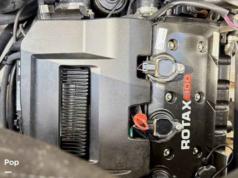 Slide: The Image of Scarab 165 ID 2022 - 16275579