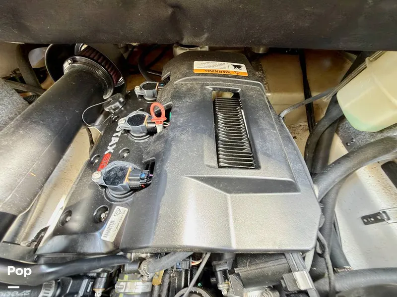 Slide: The Image of Scarab 165 ID 2022 - 16275580