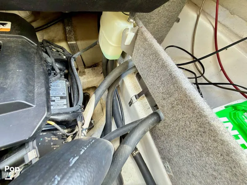 Slide: The Image of Scarab 165 ID 2022 - 16275581