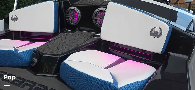 Slide: The Image of Scarab 165 id 2022 - 15916219